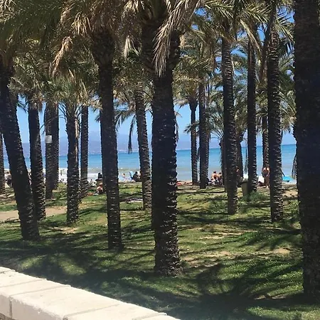 Charming Sea View Nearby Everything 公寓 *